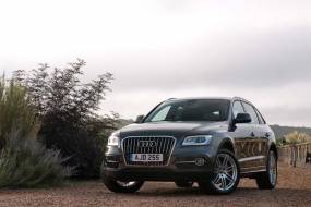 Audi Q5 (2012 - 2016) used car review