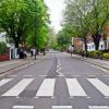 What are zebra, pelican, puffin and toucan road crossings?