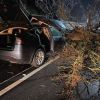 Tesla Model X’s automatic brakes just saved two families from a falling tree during Storm Dennis