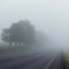 Driving in fog: when to use fog lights