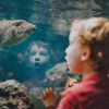 UK aquarium parking and driving advice guide