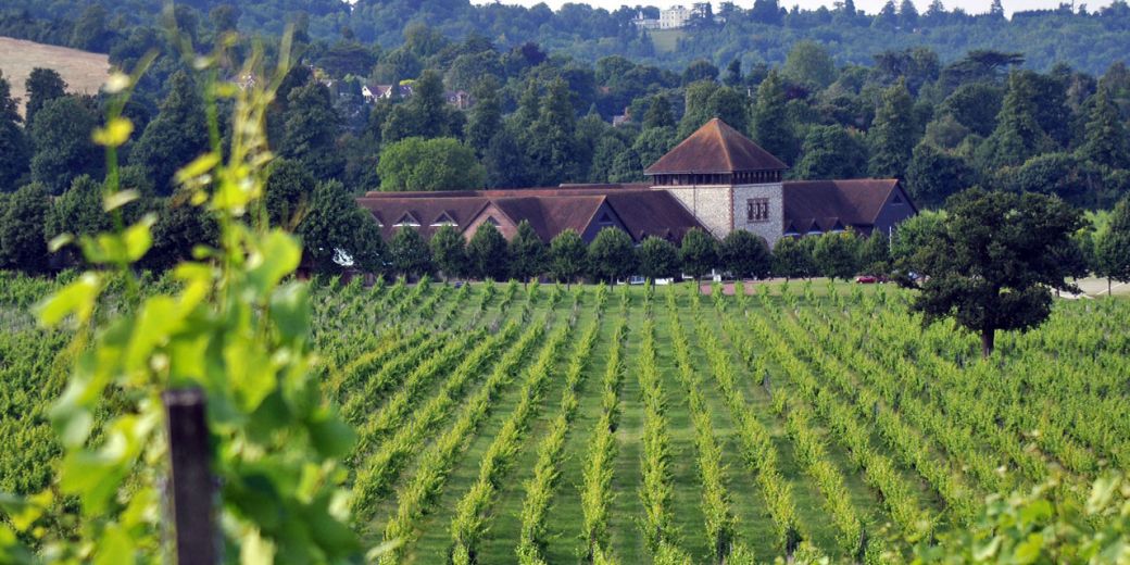 Surrey, England: the Denbies Wine Estate