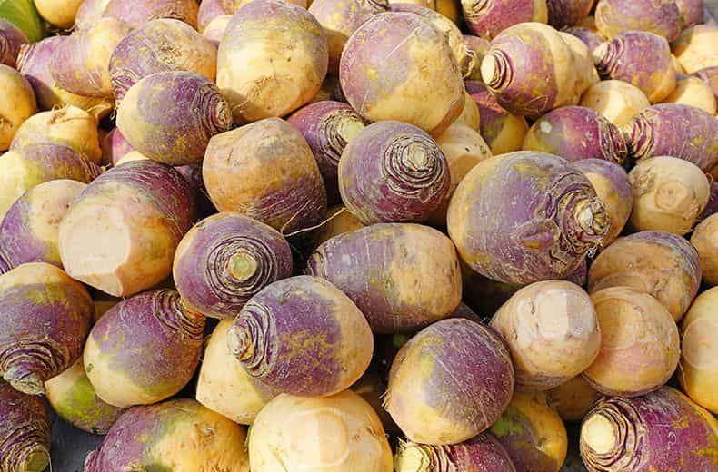Police turnip the heat in hunt for veggie vandals