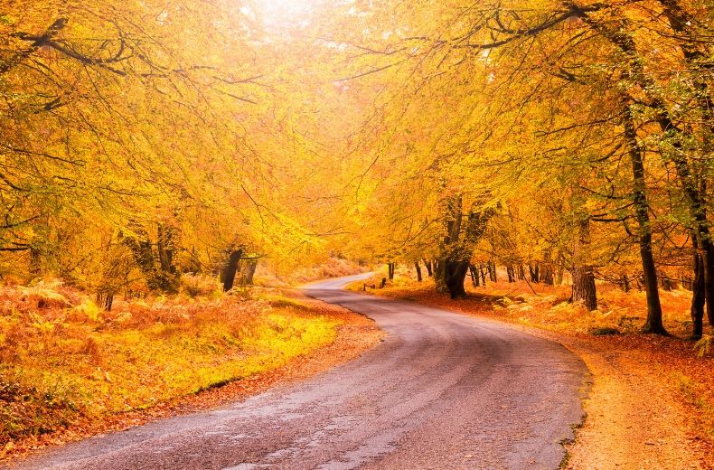 The 6 best autumn drives in the UK