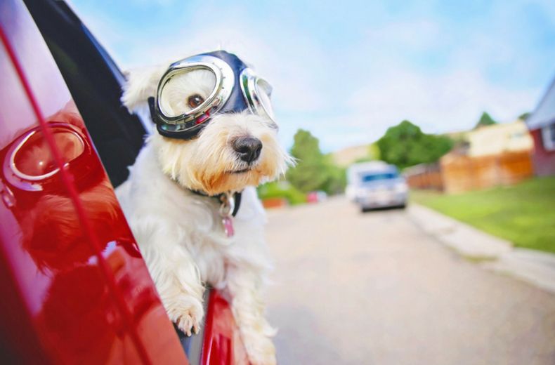 The quickest way to cool your car down