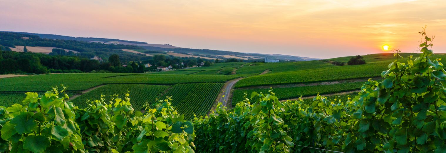 The best road trips in France