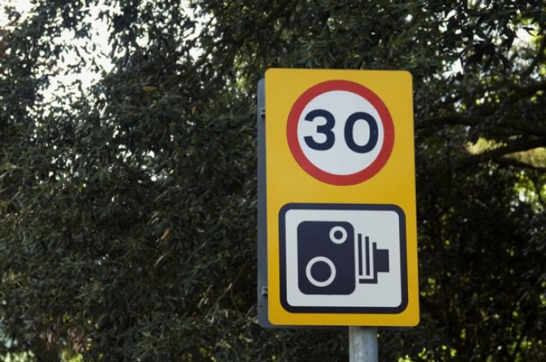 Blooming spring! Three-quarters of drivers say speed limit signs are most likely to be obscured by foliage