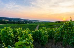 The best road trips in France