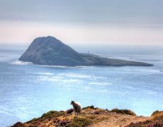 Bardsey Island, Wales: Britain’s least-populated island