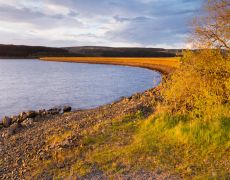 Northumberland, England: the UK’s last wilderness?