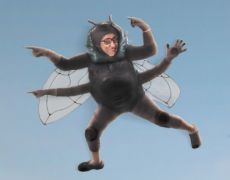 Biggest ever Highways England campaign urges drivers to ‘go left’ if they break down on motorway