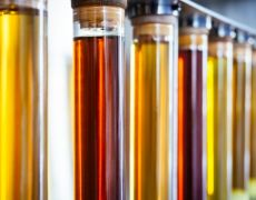 Biofuel and biodiesel - what are they? Should you use them in your car?