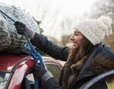 75% of drivers don't know Christmas tree transport rules - follow our guide to avoid fines