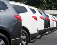 Can you drive a rental car between countries in Europe?