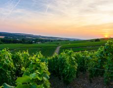 The best road trips in France