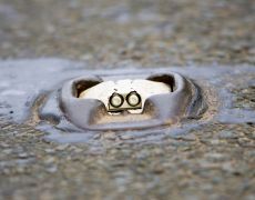 Reflective studs on the motorway - where they are and what they mean