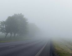 Driving in fog: when to use fog lights