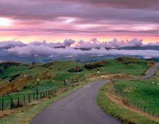 Official stats reveal deadliest regions to drive in Britain