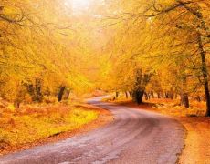The 6 best autumn drives in the UK