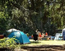 Camping Card International 