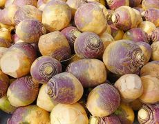 Police turnip the heat in hunt for veggie vandals