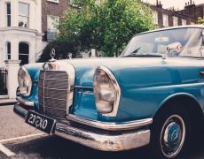 Keeping older cars on the road is the ‘most environmentally friendly’ transport option, says MP