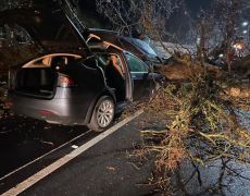 Tesla Model X’s automatic brakes just saved two families from a falling tree during Storm Dennis