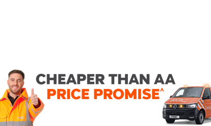 Cheaper than AA or we’ll beat by 20%^