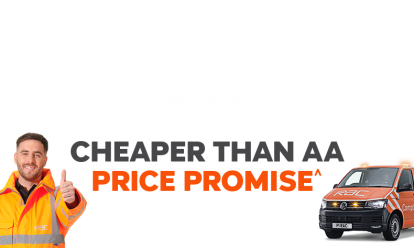 Cheaper than AA or we’ll beat by 20%^